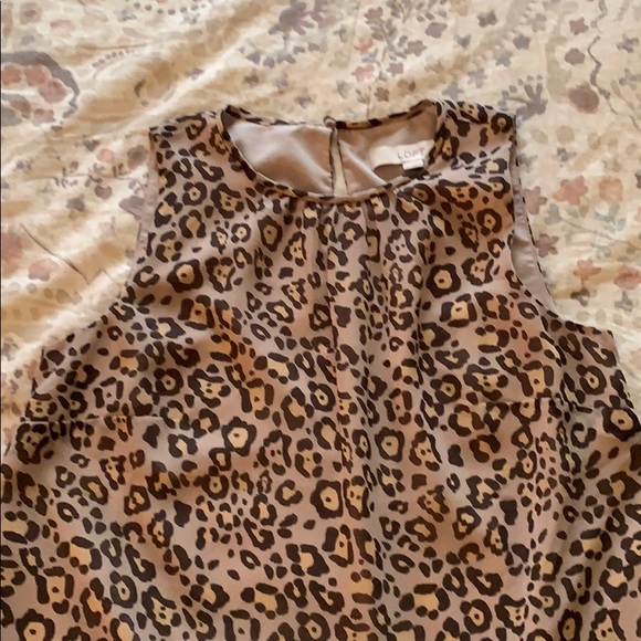 NWT Leopard Ann Taylor LOFT Dress - Picture 4 of 8